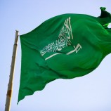السعودية تدين الهجوم الحوثي الإرهابي على ميناء قنأ