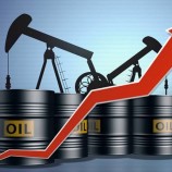 ارتفاع أسعار النفط بفعل تراجع المخزونات الأمريكية ومخاوف الإمدادات بسبب الإعصار إداليا 