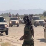 دفاع شبوة تحبط هجوما لمليشيات الحوثي وتكبدها خسائر فادحة بجبهة بيحان الحدودية