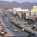 قوات أمن شبوة تقبض على قاتل هارب من البيضاء اليمنية