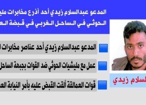 ‏مصدر في قوات العمالقة الجنوبية، يوضح بشأن القبض على أحد عناصر التخابر مع الحوثي في المخا