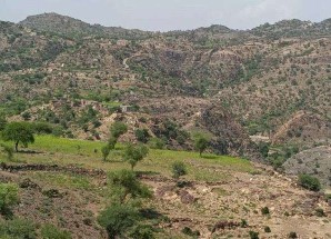 القوات المسلحة الجنوبية في جبهة القرين المسيمير الحدودية ترد بقوة على مصادر نيران مليشيات العدو الحوثية الإرهابية 