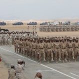 حضرموت حصن الجنوب المنيع.. والنخبة درعها الأمين