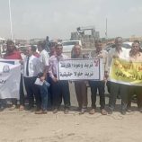 أكاديميو جامعات عدن ولحج وأبين وشبوة ينفذون وقفة احتجاجية أمام مقر التحالف العربي