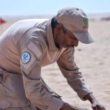 مشروع “مسام” يتلف 600 لغم وعبوة ناسفة في شبوة