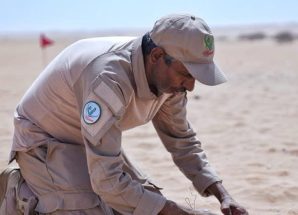 مشروع “مسام” يتلف 600 لغم وعبوة ناسفة في شبوة