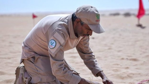 مشروع “مسام” يتلف 600 لغم وعبوة ناسفة في شبوة