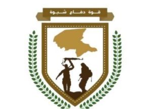 قوات دفاع شبوة تتمكن من الاطاحة بقيادات بارزة في تنظيم القاعدة الإرهابي المدعومة يمنياً