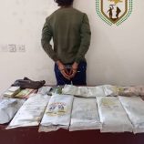 ‏قوات دفاع شبوة تضبط كمية كبيرة من مادة الحشيش المخدر  متجه الى العاصمة عدن.