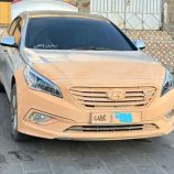 مدير البحث الجنائي بلحج يوضح بشأن واقعة وفاة أربعة شباب في العند