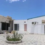 المركز الوطني للطب الشرعي يكشف ملابسات وفاة أربعة شبان في محافظة لحج 