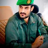 المستهدف الحزام الأمني ..وليس شخص القائد