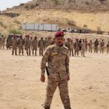 أبين.. قائد ألوية الدعم والإسناد يتفقد جاهزية اللواء الأول في مديرية المحفد