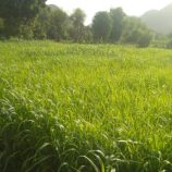 جمعية مكيديم بالمسيمير تناشد بدعم عاجل لإنقاذ الزراعة وتحقيق الأمن الغذائي