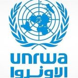 “الاونروا”: واحد من كل خمسة أطفال في قطاع غزة يعاني من سوء التغذية