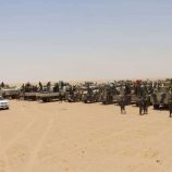 دفاع شبوة تزلزل ميادين التدريب بنار الكفاءة.. مناورة تكتيكية هجومية تجسّد جاهزية القتال الكامل