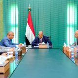 الرئيس الزُبيدي يشدد على أهمية النهوض بقطاع الاتصالات وفق رؤية استراتيجية حديثة