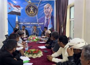 فريق الرقابة والتوجيه الرئاسي يطلع على خطط وأنشطة الهيئة التنفيذية لانتقالي الضالع