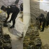 في إنجاز أمني جديد…جهاز مكافحة الإرهاب بالتنسيق مع النيابة الجزائية المتخصصة يضبط محاولة تهريب شحنة مخدرات قبل وصولها لمليشيا الحوثي 