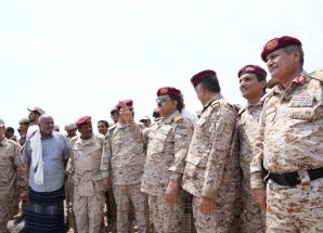 وزير الدفاع يتفقد جزيرة ميون وباب المندب
