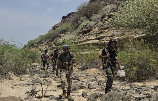 القوات المسلحة الجنوبية تنفذ هجوم على معاقل تنظيم القاعدة الإرهابي في أبين 