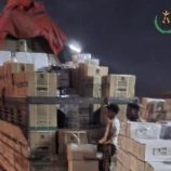 قوات الحزام الأمني بلحج تضبط مبيدات حشرية منتهية الصلاحية