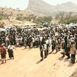 قبيلة لقموش في شبوة تؤكد على تاريخها النضالي وترفض أي تدخلات خارجية