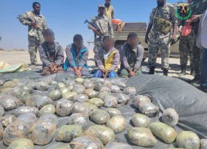 بتنسيق مشترك بين الحزام الأمني وخفر السواحل..‏ضبط وإحباط عملية تهريب حبوب مخدّرة قرب سواحل مقاطين شرق أبين