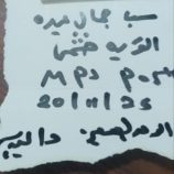 الملاريا تحصد حياة شابة في الضالع ومطالبات بتدخل صحي عاجل