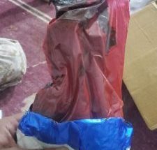 حضرموت.. قوات خفر السواحل تحبط محاولة تهريب كمية من المخدرات