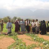 محافظ سقطرى يزور مزرعة جمعية معنوفة