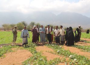 محافظ سقطرى يزور مزرعة جمعية معنوفة