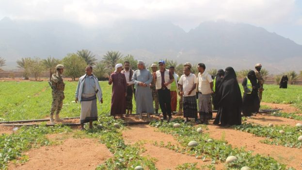 محافظ سقطرى يزور مزرعة جمعية معنوفة