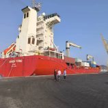 رسو سفينة الحاويات “مرسى فيرجوا” في رصيف المعلا