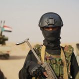 دفاع شبوة.. جدار النار الذي حطم أوكار الإرهاب