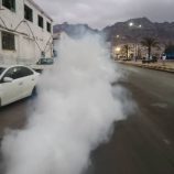 تدشين حملة الرش الضبابي في المعلا