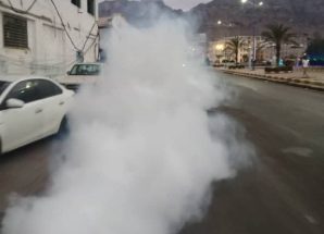 تدشين حملة الرش الضبابي في المعلا