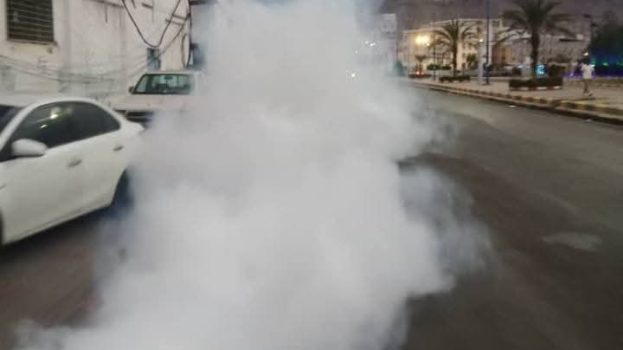 تدشين حملة الرش الضبابي في المعلا