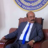 الشيخ لحمر بن لسود: انتصارات القوات الجنوبية نقطة تحول استراتيجية