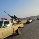 عاجل| وصول تعزيزات من القوات المسلحة الجنوبية إلى محافظة المهرة