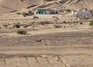 قوات النخبة الحضرمية تعلن التصدي لهجوم مسلح وتؤمّن مواقع الشركات النفطية 