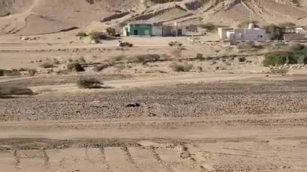 قوات النخبة الحضرمية تعلن التصدي لهجوم مسلح وتؤمّن مواقع الشركات النفطية 