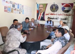 فريق التوجيه والرقابة الرئاسي يلتقي الهيئة التنفيذية لانتقالي أبين