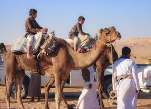 بدعم ورعاية كريمة من صاحب السمو الشيخ ⁧‫#محمد_بن_زايد‬⁩ آل نهيان تنطلق غدًا في مديرية عسيلان بمحافظة شبوة فعاليات تصفيات سباق الهجن